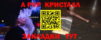 амф Кингисепп