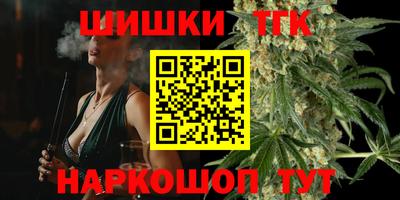 амф Кингисепп