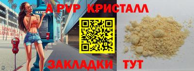 амф Кингисепп
