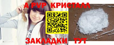амф Кингисепп