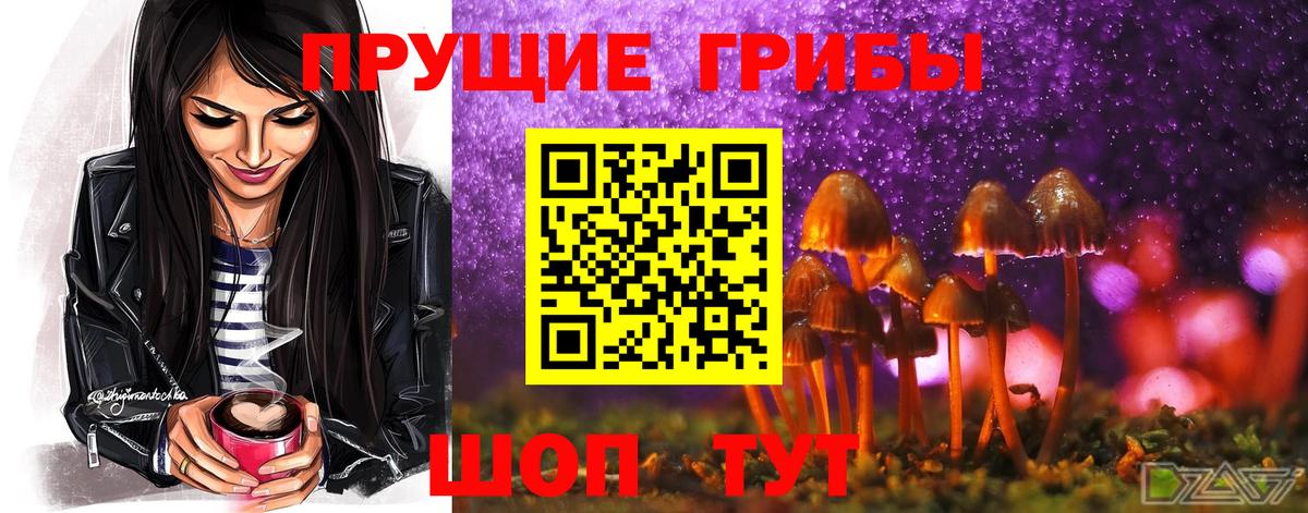 Псилоцибиновые грибы ЛСД Корсаков