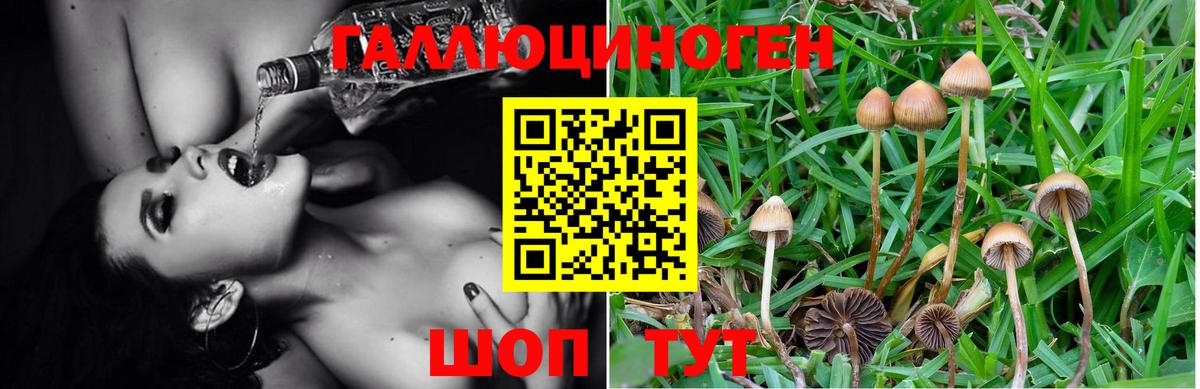Псилоцибиновые грибы Psilocybine cubensis  Галлюциногенные грибы Psilocybe  Корсаков  Вход с VPN 